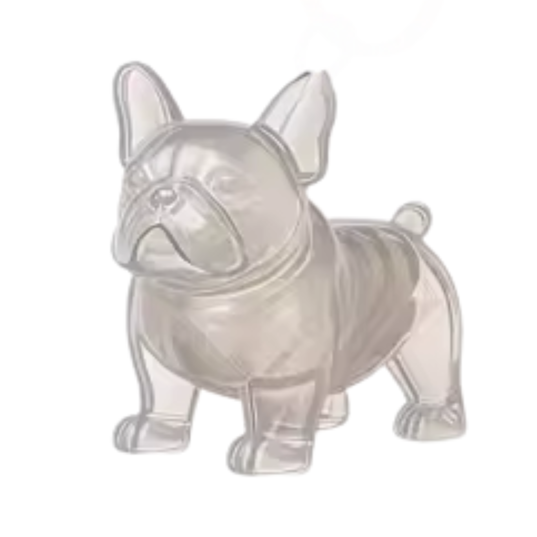 PawMem™ - Pet Keychain