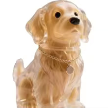 PawMem™ - Pet Keychain