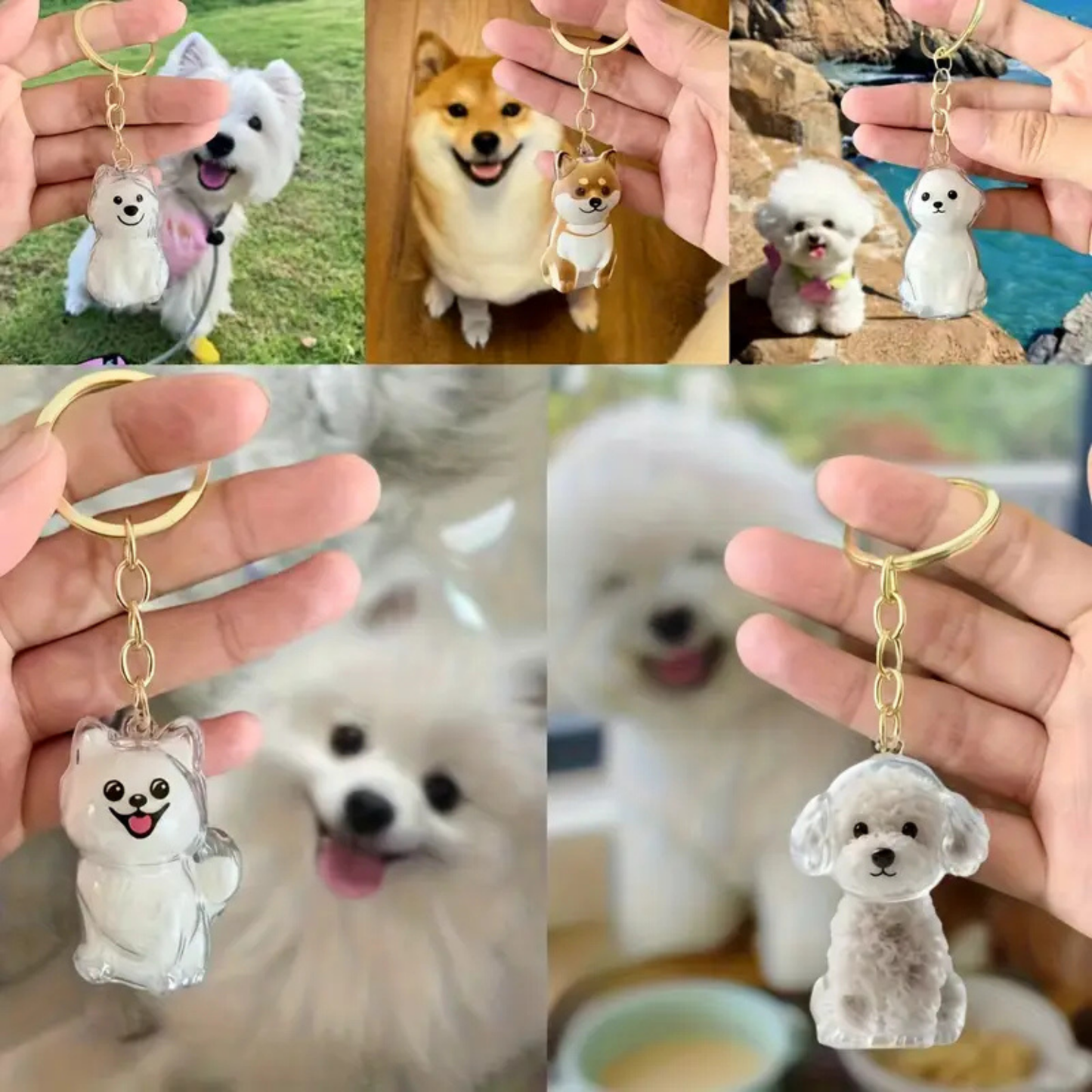 PawMem™ - Pet Keychain