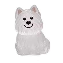 PawMem™ - Pet Keychain